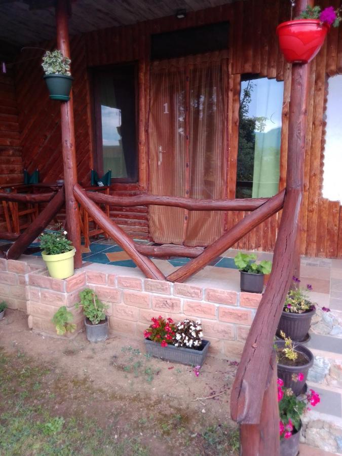 Hacijenda Gane Daire Soko Banja Dış mekan fotoğraf
