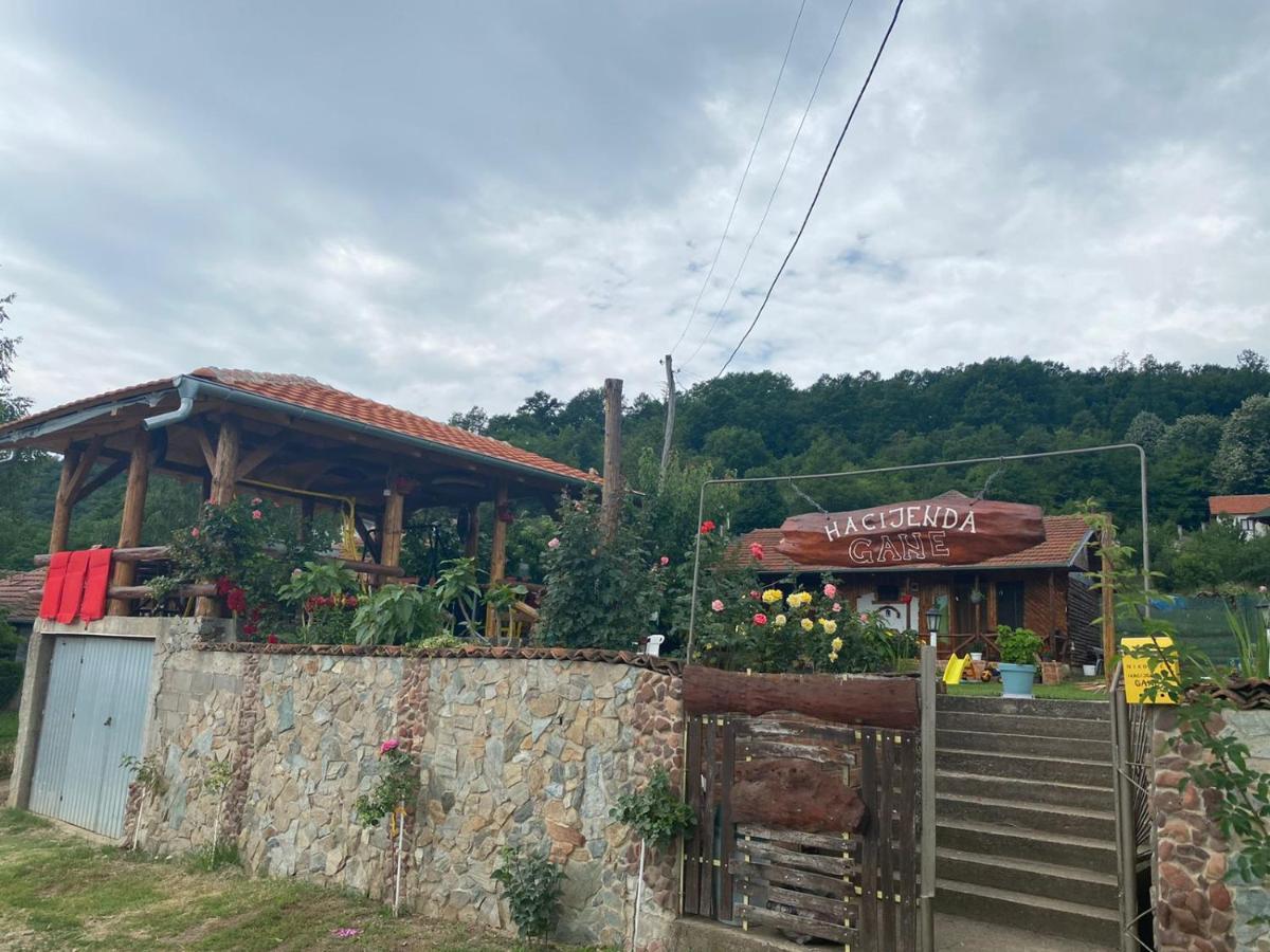 Hacijenda Gane Daire Soko Banja Dış mekan fotoğraf