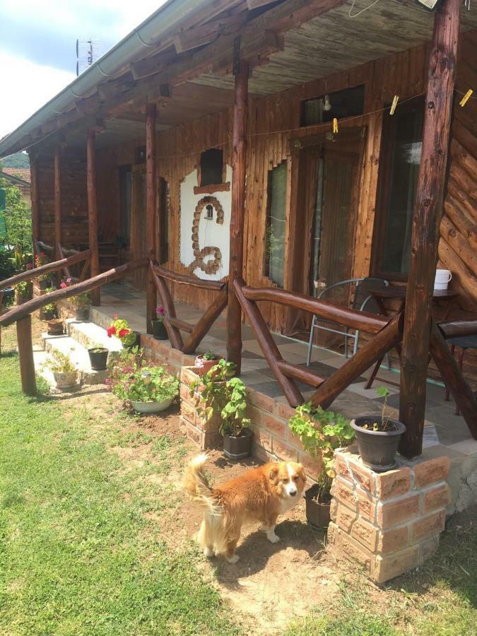 Hacijenda Gane Daire Soko Banja Dış mekan fotoğraf